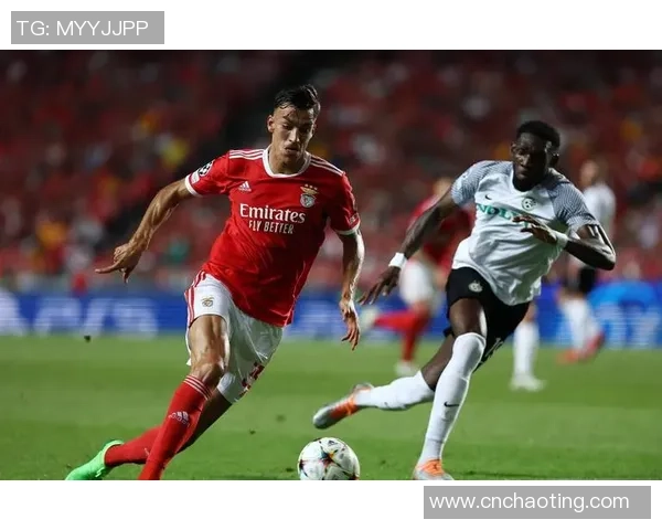 本菲卡锁定德甲明星球员意图引进凯恩队友助力球队发展